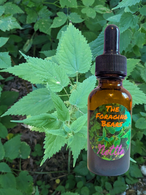 Stinging Netles (Urtica dioica)  2oz