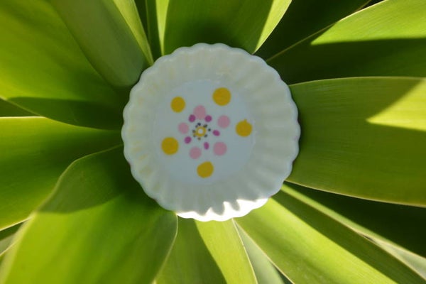 Cupcake Bakje Flower