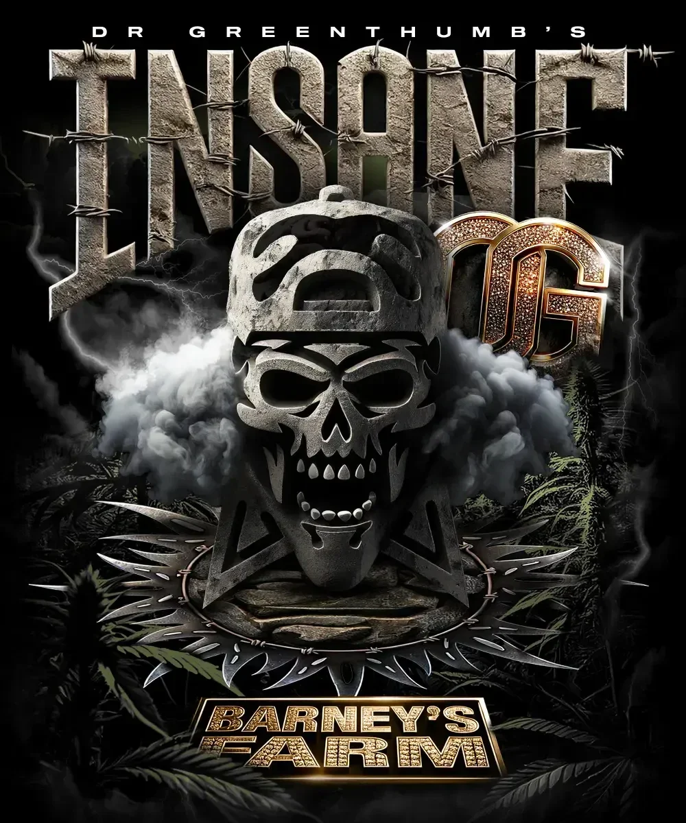 Insane OG Feminisiert, 1 / 3 Samen