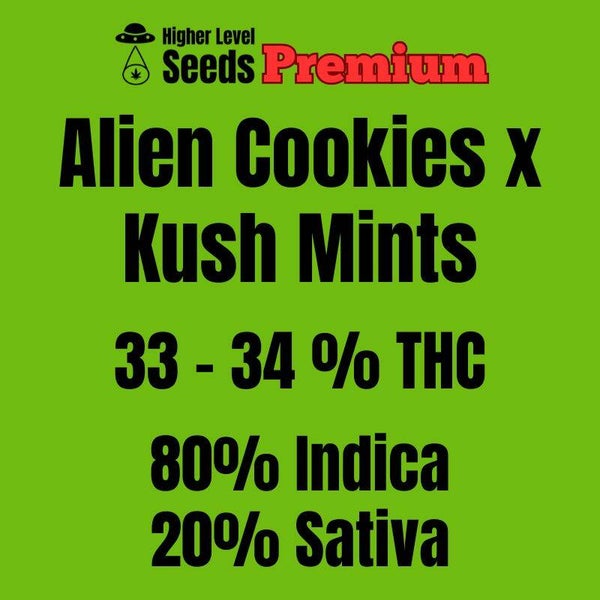 Alien Cookies x Kush Mints, 3 feminisierte Samen