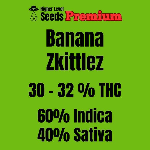Banana Zkittlez, 3 feminisierte Samen