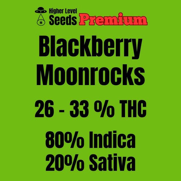 Blackberry Moonrocks, 3 feminisierte Samen