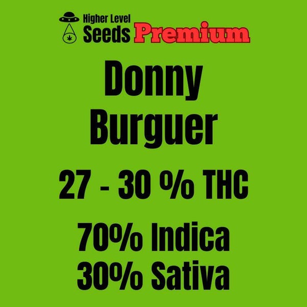Donny Burguer, 3 feminisierte Samen