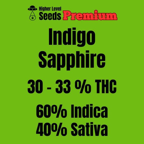 Indigo Sapphire, 3 feminisierte Samen