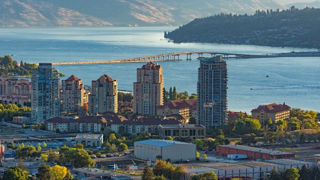 Vernon Carpet Cleaning