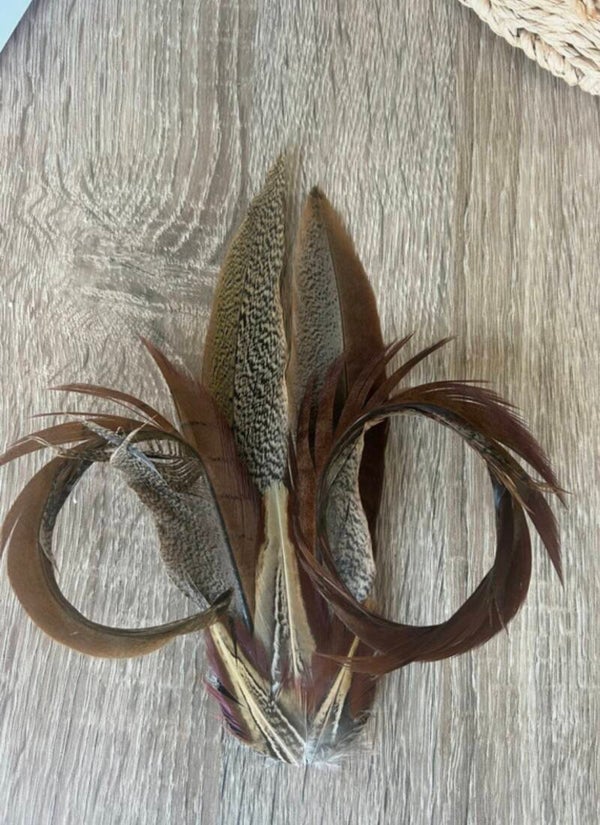 Real Feather Fascinator / Hatpin