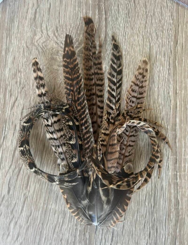 Real Feather Fascinator / Hatpin