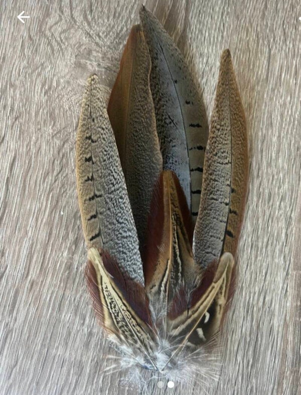 Real Feather Fascinator / Hatpin