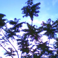 pho00000-standard-7nlb4v.jpg