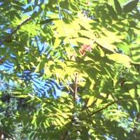 pho00035-1-high-high-y8uft6-standard-br5l7e.webp