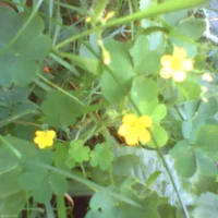 pho00274-high-v4be9k-high-p7gdcm-standard-jbeyp1.webp