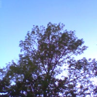 pho00344-standard-4y8cc9.jpg