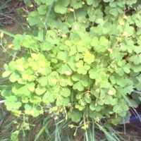 pho00364-high-standard.webp