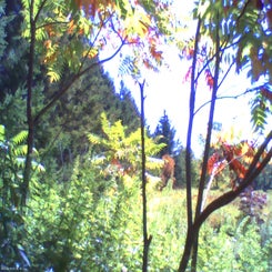 pho00937-standard.jpg