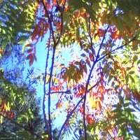 pho00938-standard-83uhod.jpg