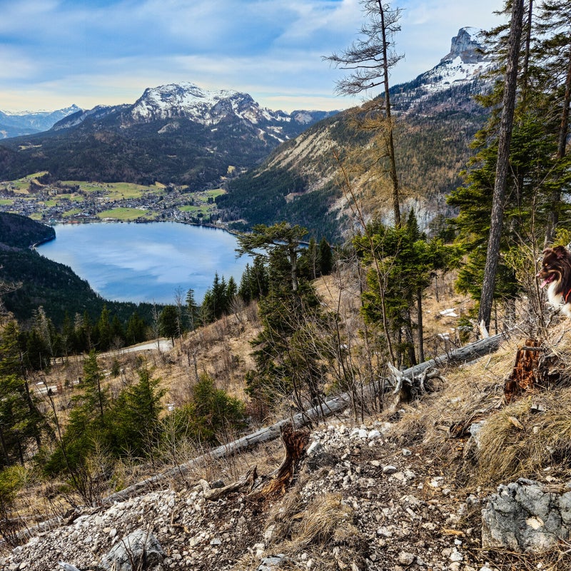 Hammer , letzter toller Ausblick gehört festgehalten