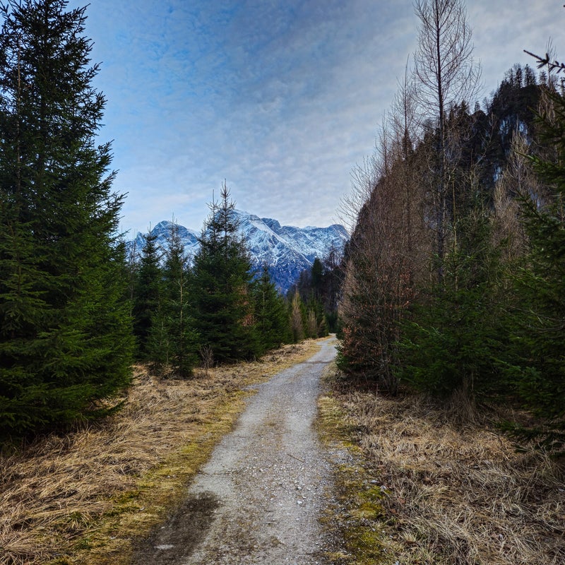 gleich sind wir am Parkplatz und schön wars...
