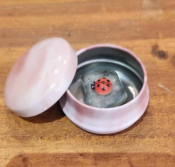 cocinelle mange chagrin sur labradorite