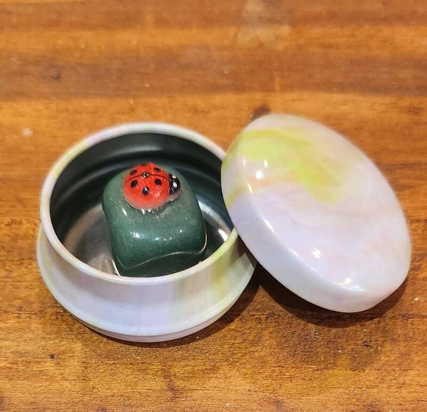 cocinelle sur pierre de jade