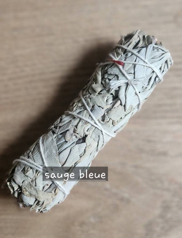 sauge bleue