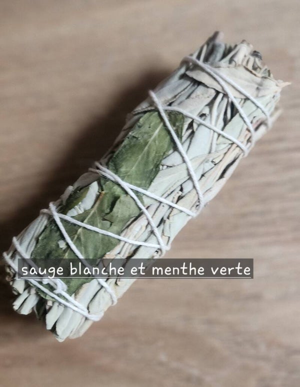 sauge blanche et menthe verte