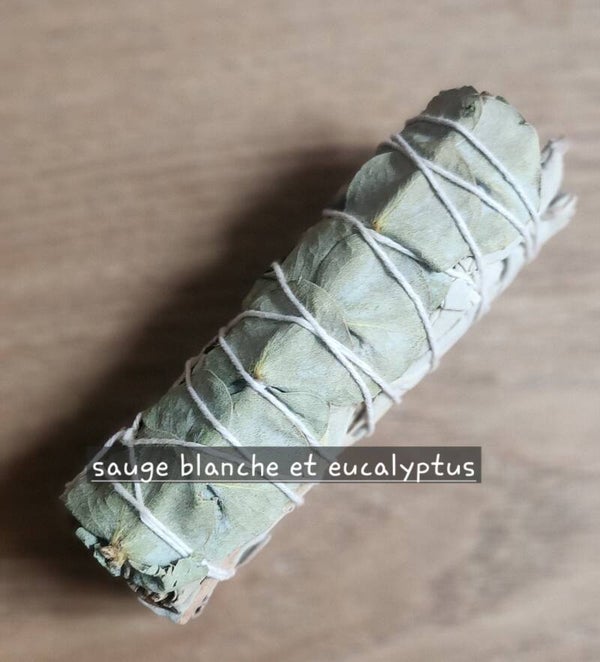 sauge blanche et eucalyptus