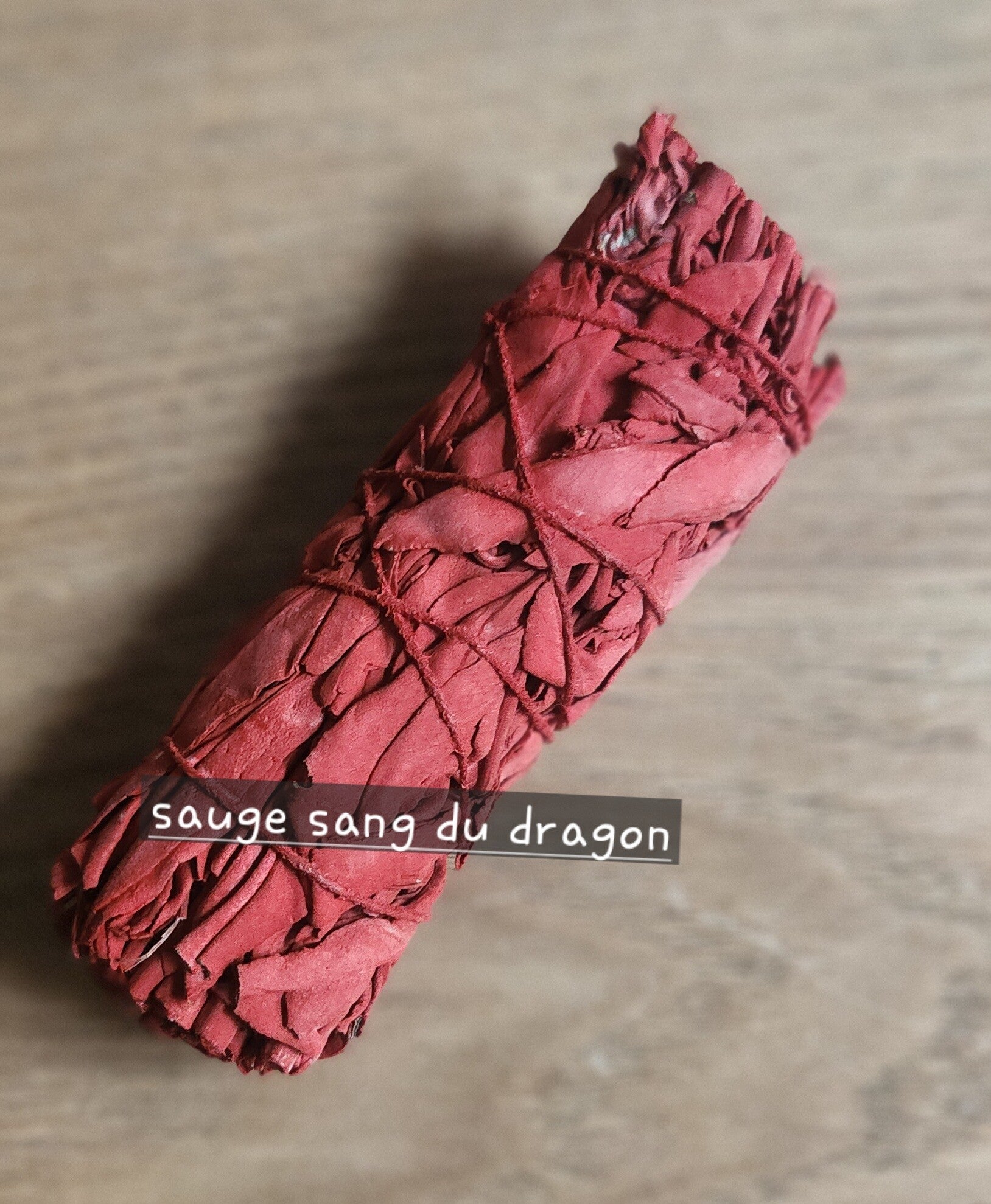sauge sang du dragon