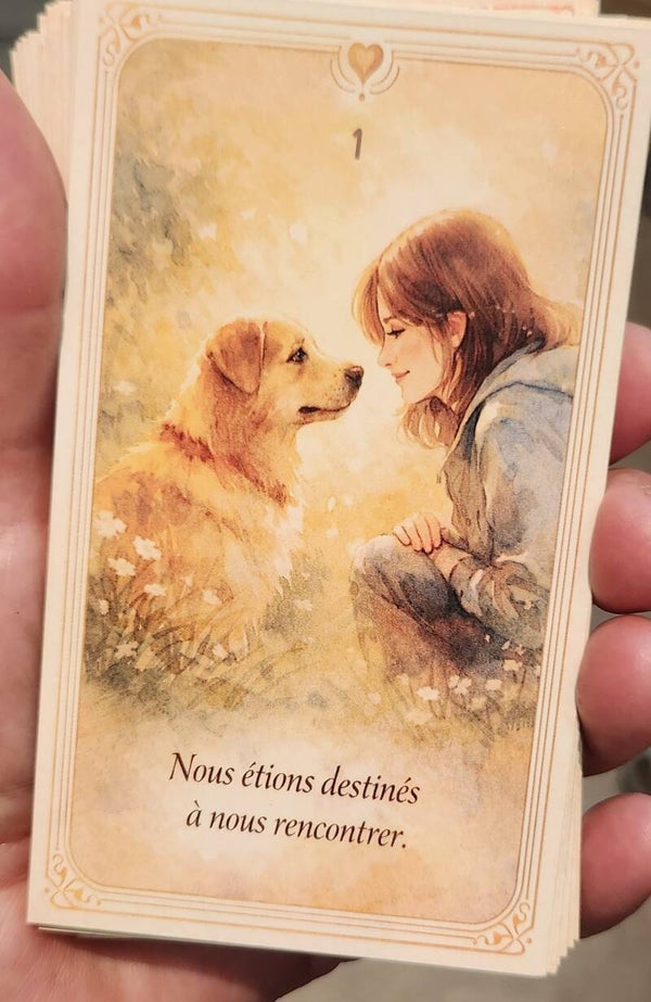 oracle des coeurs reliés