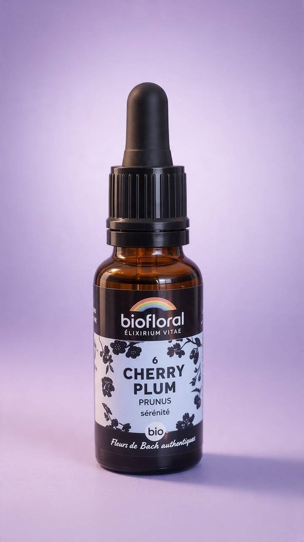 Cherry Plum (Prunier myrobolan)