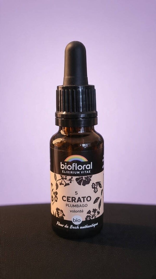 Cerato (Plumbago)