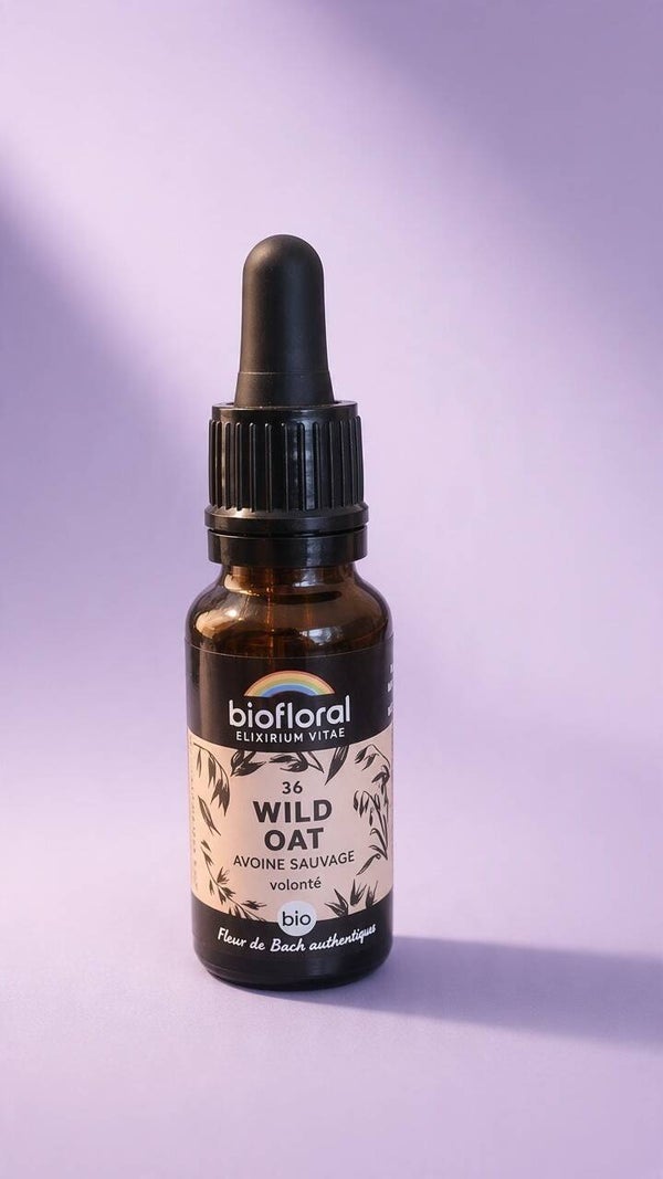 Wild Oat (Folle avoine)