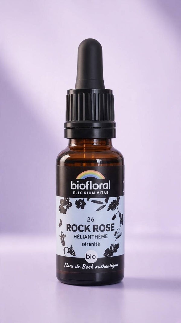 Rock Rose (Hélianthème)