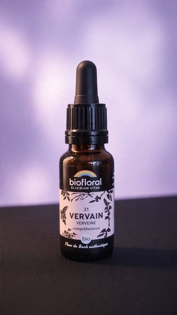 Vervain (Verveine)