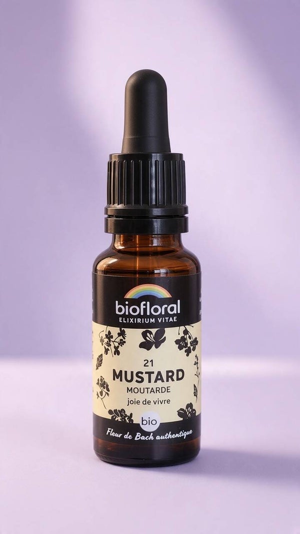 Mustard (Moutarde sauvage)