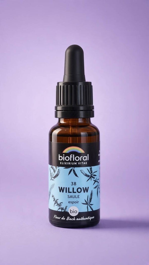 Willow (Saule)