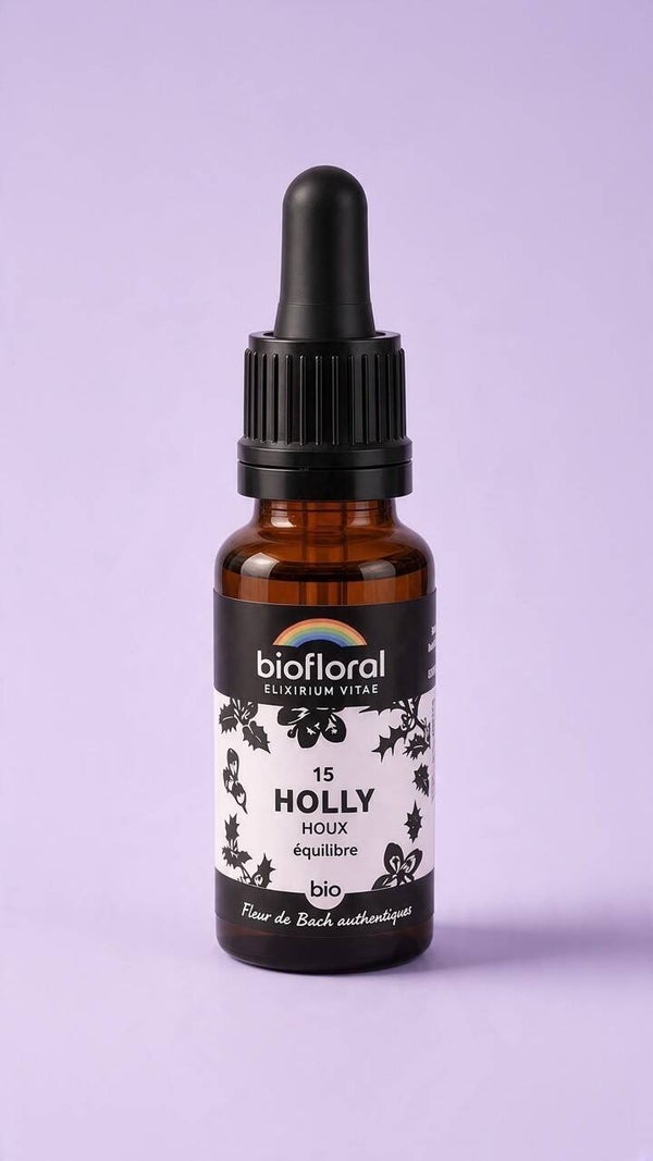 Holly (Houx)