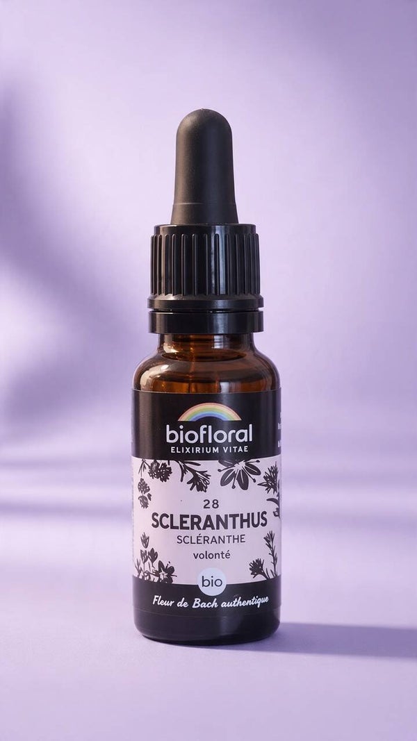 Scleranthus (Alène) – Fleur de Bach Biofloral 20 ml