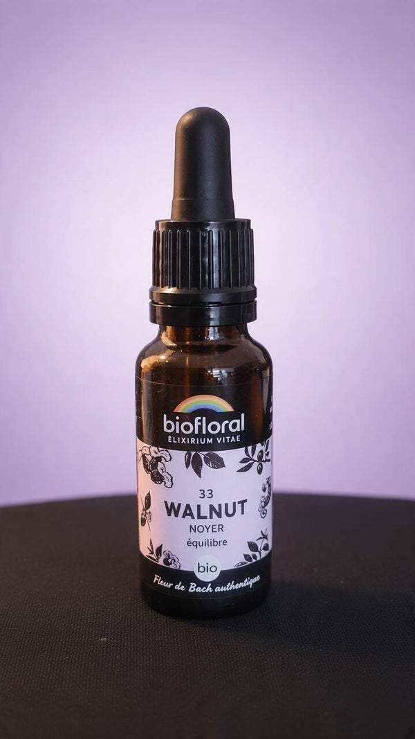Walnut (Noyer)