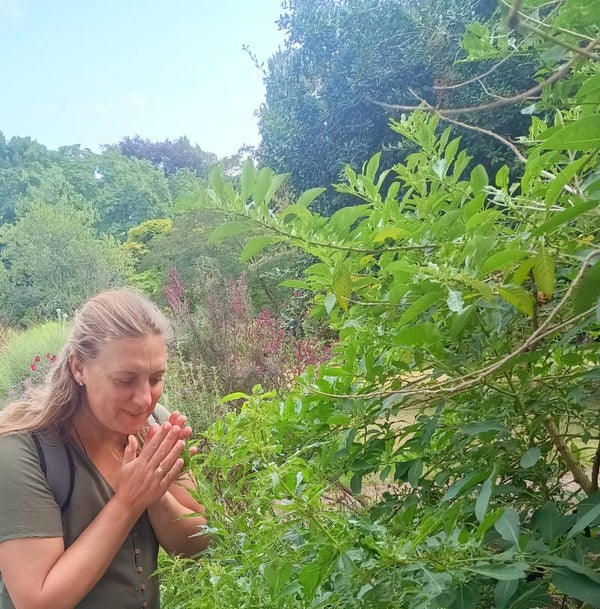 Kruidenvrouw in de praktijk (voorjaar 2026)