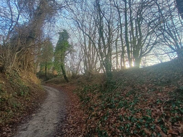 Kruidenwandeling 14 november 2026