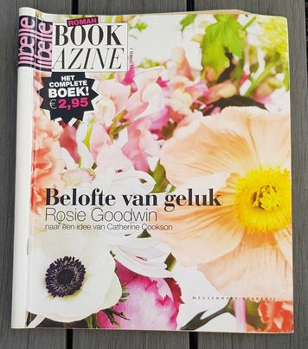 Rosie Goodwin - Belofte van geluk