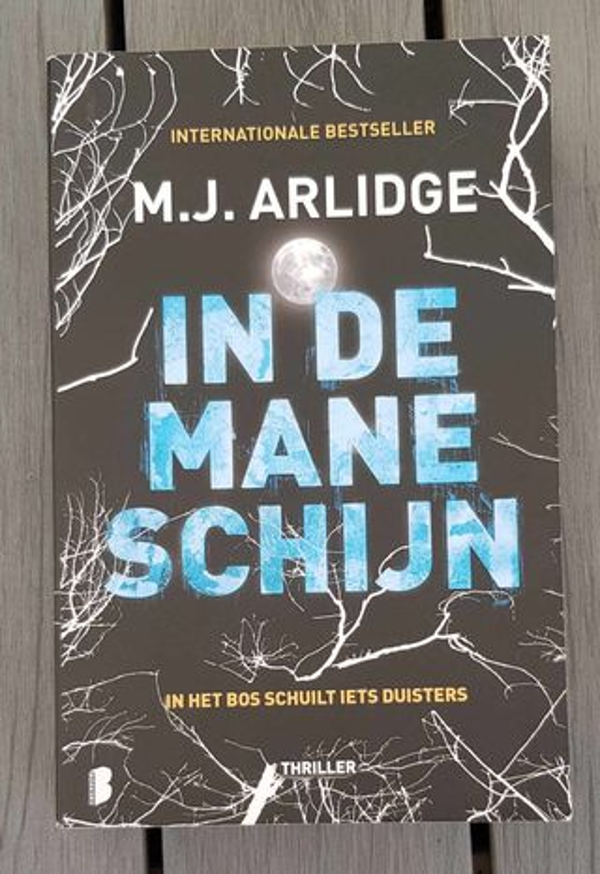 M.J. Arlidge - In de maneschijn