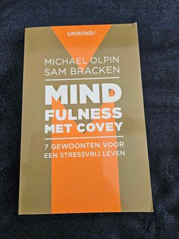 Sam Bracken & Michael Olpin  - Mindfulness met Covey