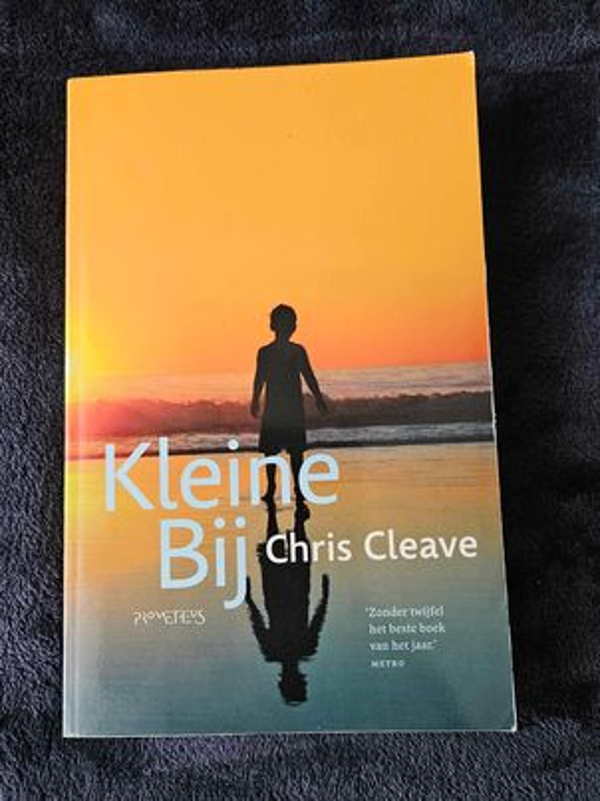Chris Cleave - Kleine Bij