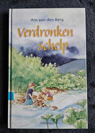 Ans van den Berg - Verdronken schelp