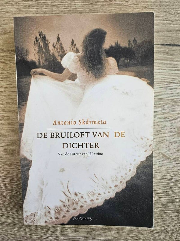 Antonio Skarmeta - De bruiloft van de dichter