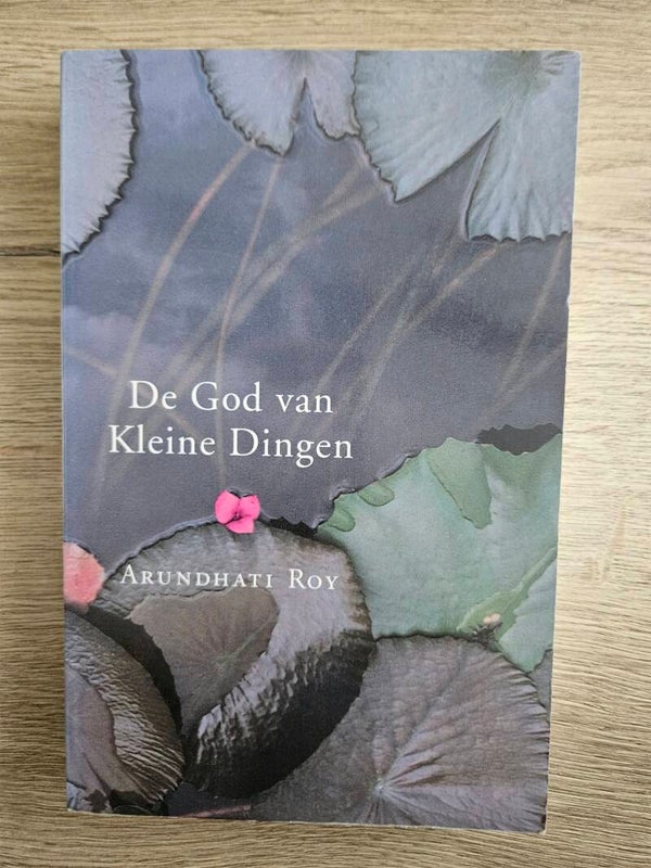Arundhati Roy - De God van kleine dingen