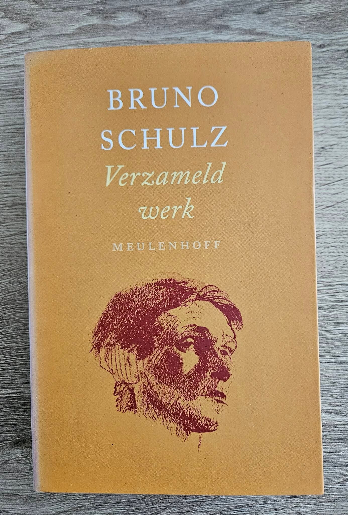 Bruno Schulz - Verzameld werk