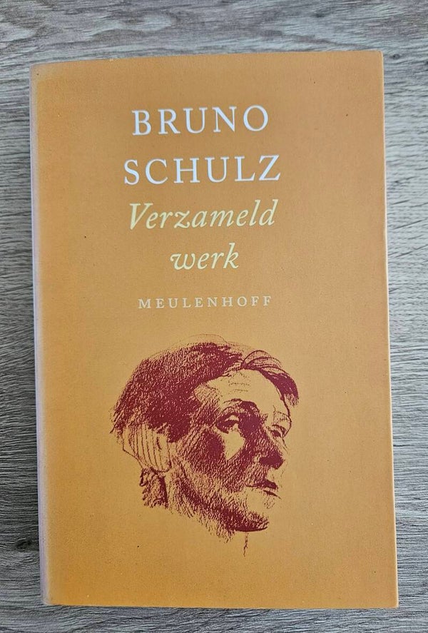 Bruno Schulz - Verzameld werk
