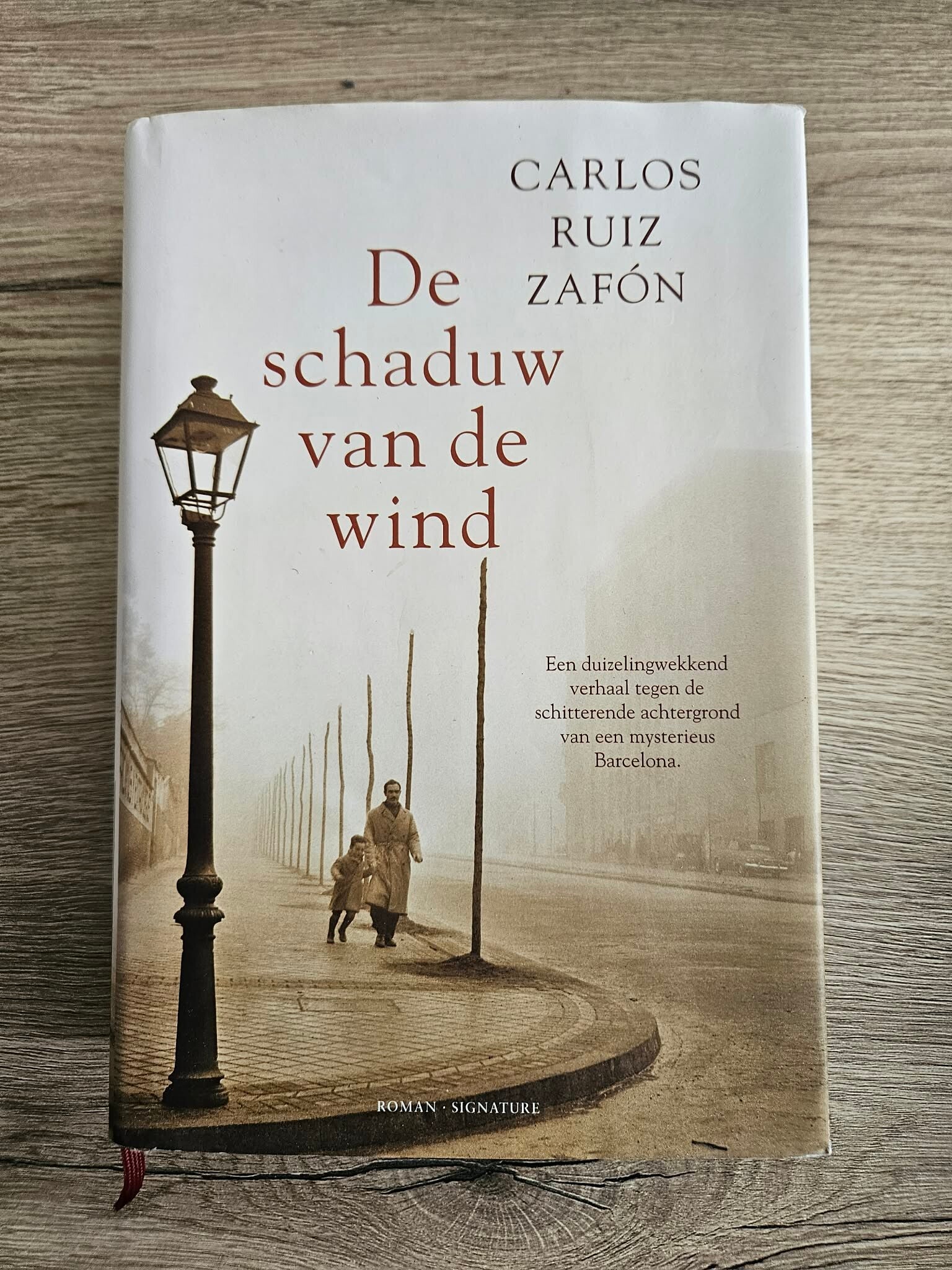 Carlos Ruiz Zafón - De schaduw van de wind